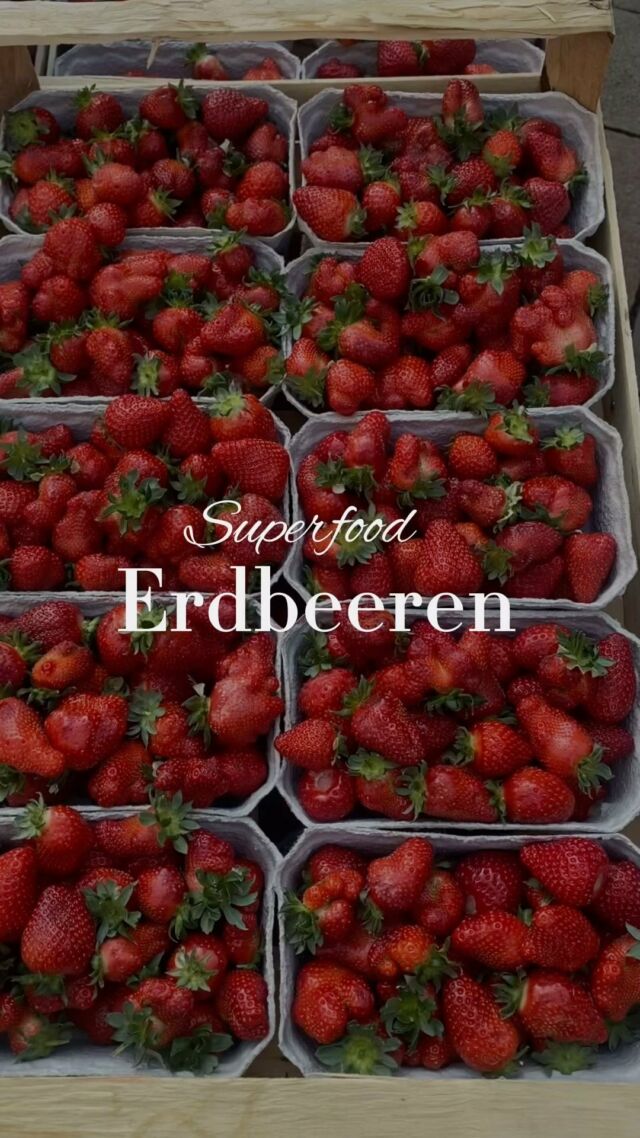 Die Erdbeersaison 🍓 ist eine schöne Zeit, um leckere und frische Erdbeeren zu genießen.

Es gibt so viele leckere Möglichkeiten, sie zu genießen, sei es in Smoothies, als Eis 🍧 oder einfach pur als Snack. 
Wie esst ihr eure Erdbeeren am liebsten? Wir wünschen euch guten Hunger! ✨

#bielefeldgehtaus #bielefeld #erdbeeren #erdbeersaison #früchte